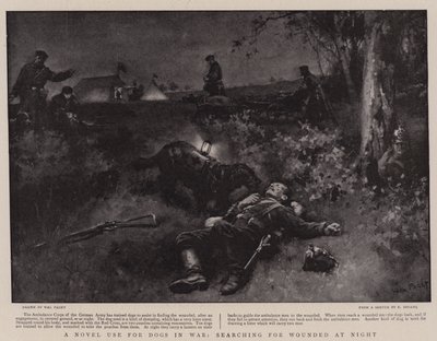 Une nouvelle utilisation des chiens en guerre, recherchant les blessés la nuit - Walter Stanley Paget